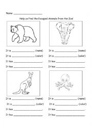 English Worksheet: Escaped from the Zoo
