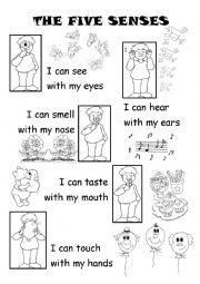 English Worksheet: The five senses