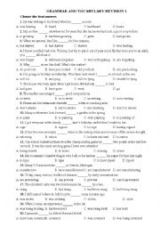 English Worksheet: GRAMMAR AND VOCABULARY REVISION