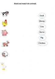 English Worksheet: Animals