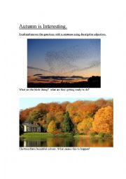 English Worksheet: Autumn is Interesting.