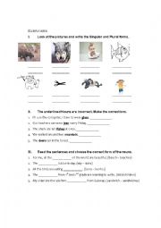 English Worksheet: Singular - Plural Nouns