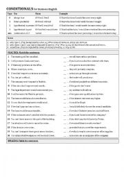 English Worksheet: Conditionals  (for business English)