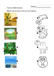 English Worksheet: Animal Habitats