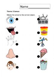 English Worksheet: 5 Senses