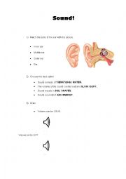 English Worksheet: SOUND