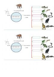 English Worksheet: VERTEBRATES