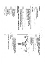 English Worksheet: Grade 5 Science