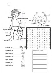 English Worksheet: Body Parts