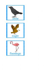 English Worksheet: Flashcards - Birds 1