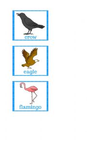 Flashcards - Birds 1