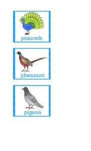 English Worksheet: Flashcards - Birds 2