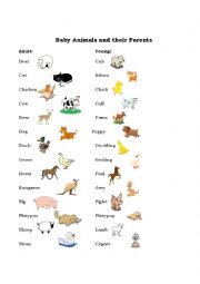 English Worksheet: Comparatives and Superlatives