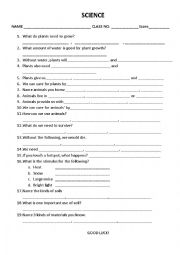English Worksheet: Science Questions