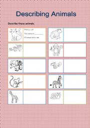 English Worksheet: describing animals