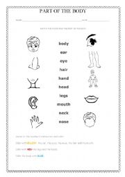 English Worksheet: Parts of the Body