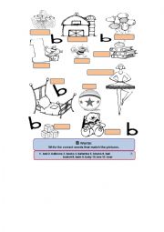 English Worksheet: B Words Worksheet