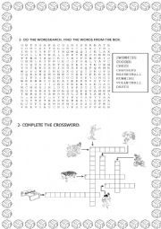 English Worksheet: Sports - Wordsearch and crossword