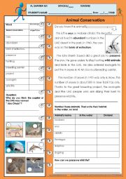 English Worksheet: The Oryx (Al Maha)