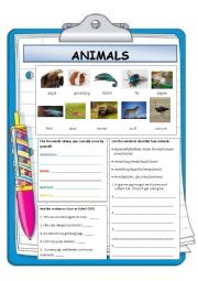 English Worksheet: Describing Animals