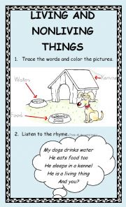 English Worksheet: Living things and non living things part 2