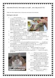 English Worksheet: Imperative (70 verbs)  How to give a cat a pill and a dog, too (CEF B2)