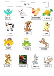 English Worksheet: PETS