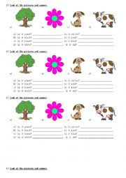 English Worksheet: Colours - Is it...