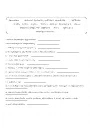 English Worksheet: Family vocabulary