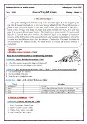 English Worksheet: The siberian tiger