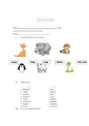 Animals