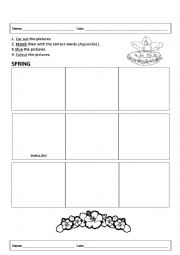 English Worksheet: Spring vocabulary