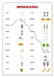 English Worksheet: irregular plurals