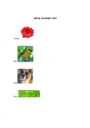 English Worksheet: Spring Scavenger Hunt