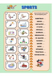 English Worksheet: SPORTS