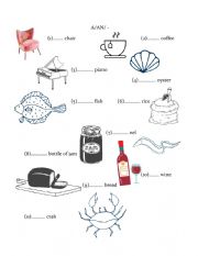 English Worksheet: A,An or - 