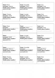 Personal information (speaking activity) - ESL worksheet by lyubka87