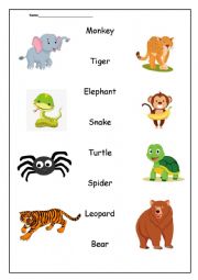 English Worksheet: JUNGLE ANIMALS WORKSHEET