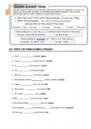 English Worksheet: simple present