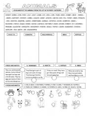 English Worksheet: ANIMALS