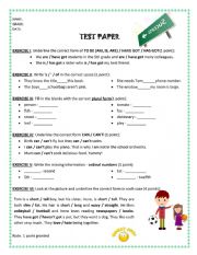 English Worksheet: TEST PAPER