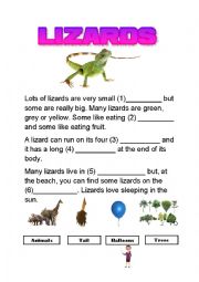 English Worksheet: Lizards