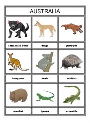 English Worksheet: Animals from different continents - part 4 - Australia and Antarctica & The Arctic