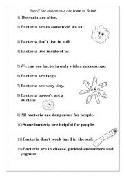 English Worksheet: Facts about bacteria