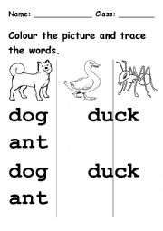 English Worksheet: tracing