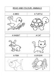 English Worksheet: READ AND COLOUR: ANIMALS