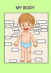 English Worksheet: body parts