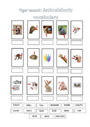 English Worksheet: Animals body vocabulary