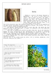 English Worksheet: Text, fruits from amazon