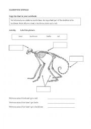 Classifying Animals